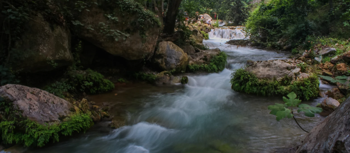 Holy Spirit Revealed Part 3: Thirsty for Rivers of Living Water Oct 11, 2024